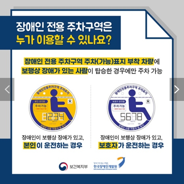 본인 운전용 노란색 표지와 보호자 운전용 흰색 표지 비교