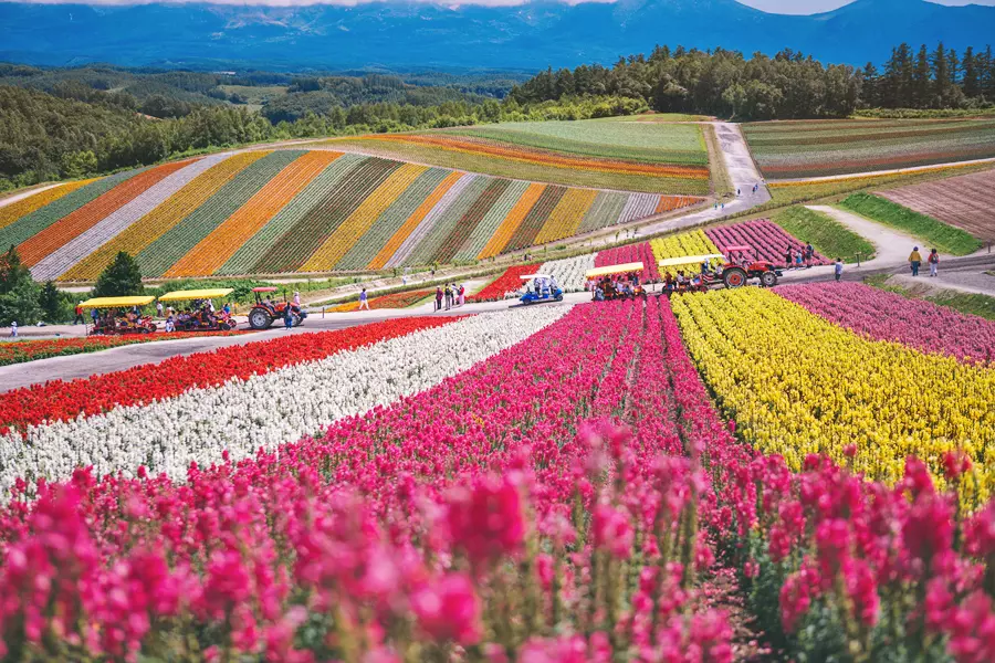 8월여행지-삿포로1