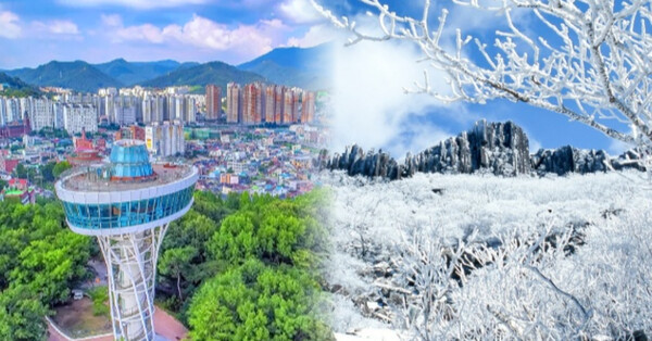 2025 광주 디지털 노마드 완벽 가이드: 예술과 혁신의 도시에서 일하기