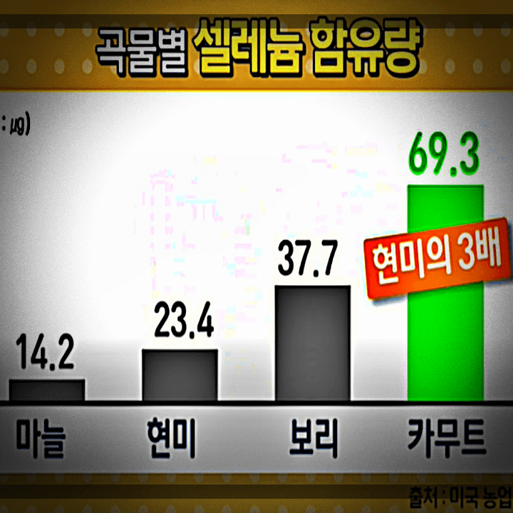곡물별-셀레늄-함유량-카무트