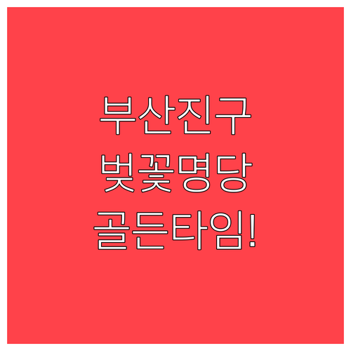 부산진구 벚꽃 사진 찍기 좋은 곳과 ..