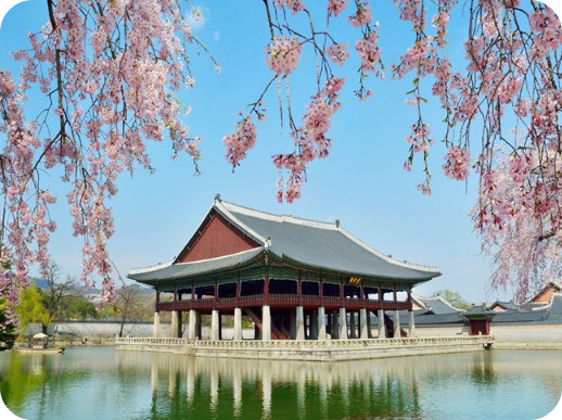 경복궁 야간개장