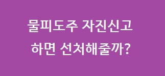 물피도주-자진신고