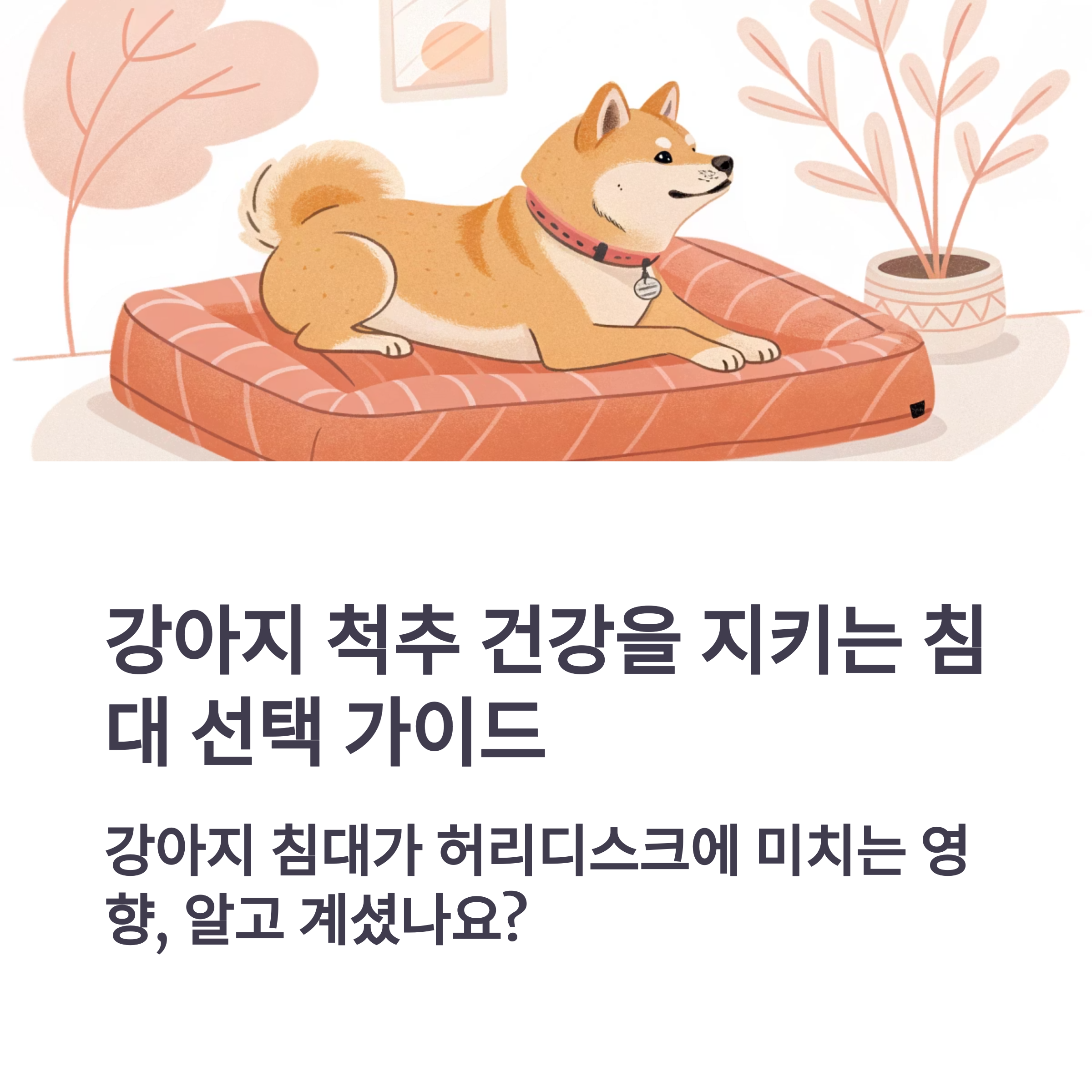강아지 척추 건강을 지키는 침대 선택 가이드