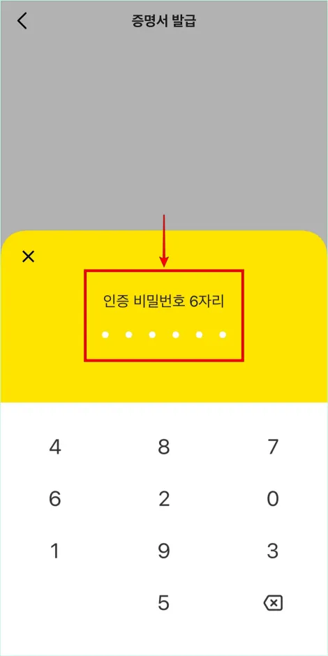 인증 비밀번호 6자리를 입력