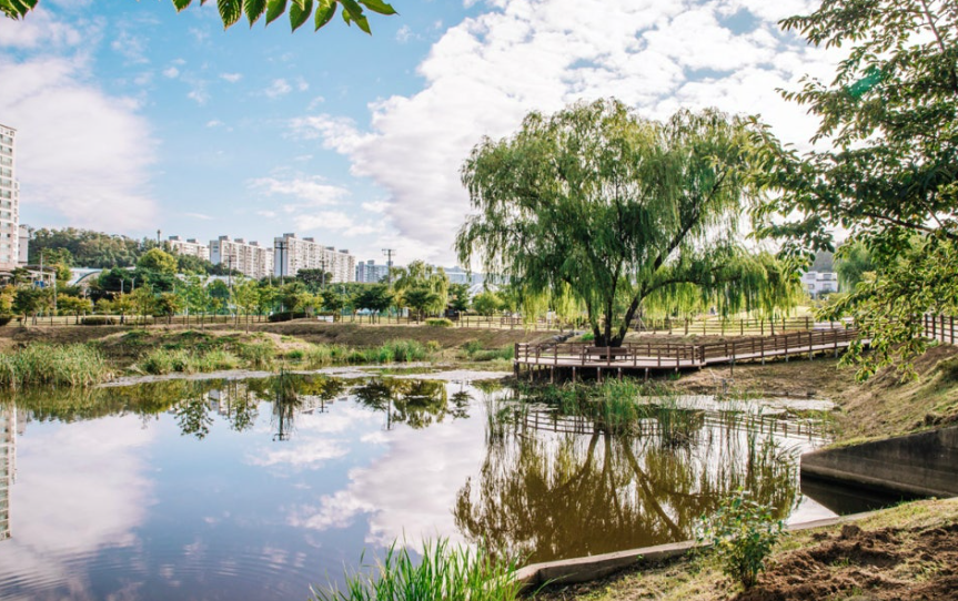 청수공원vs삼거리공원&amp;#44; 피크닉 명소 비교