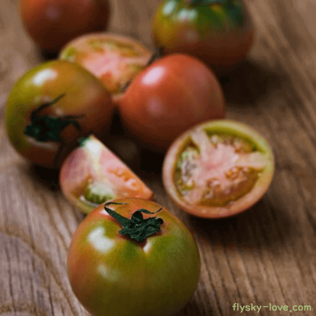 대저토마토 효능