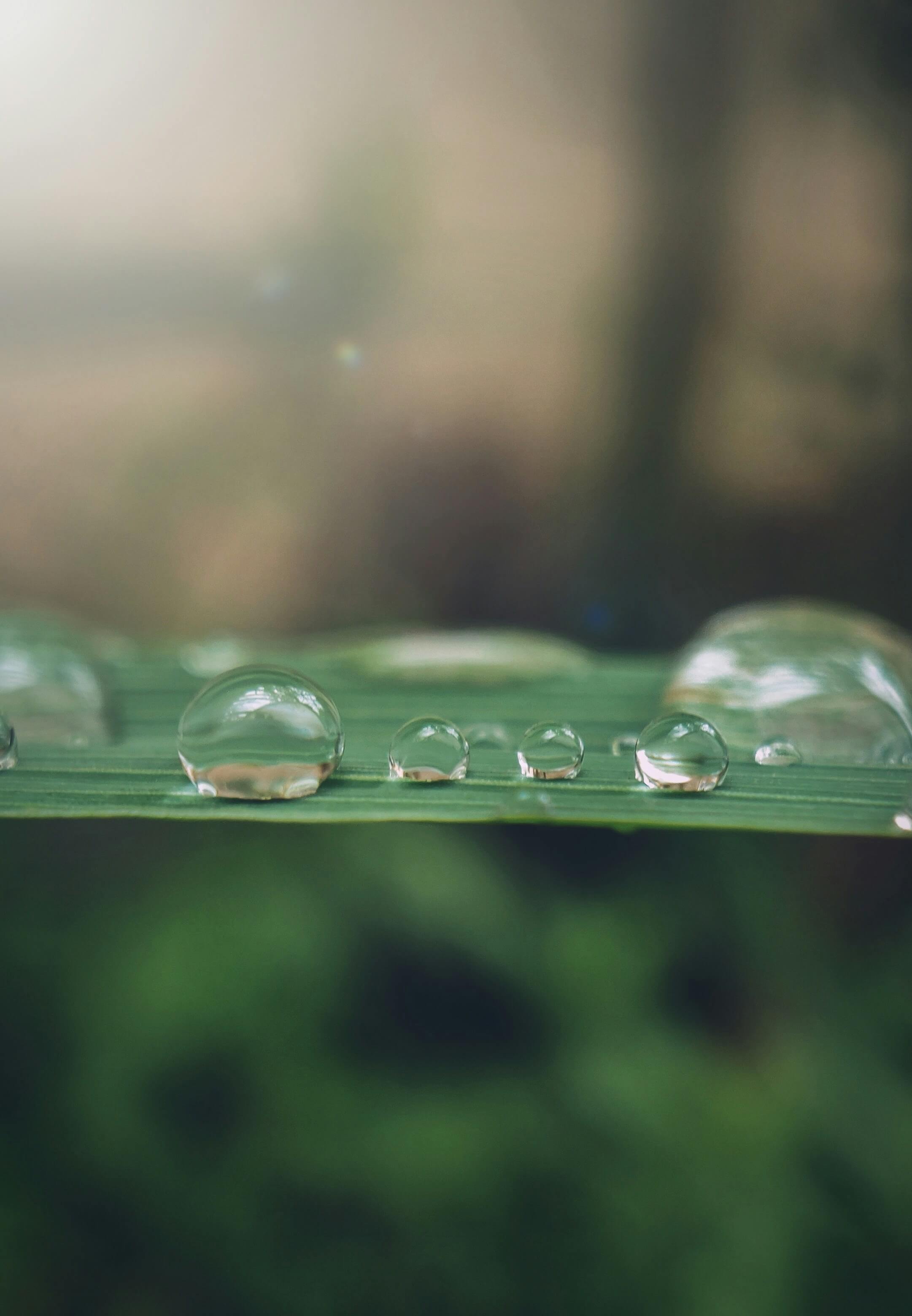 축령산 자연휴양림