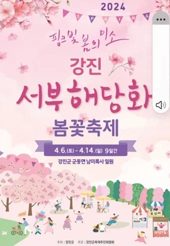 강진 수국길축제 일정 초대가수 강진 여행 2025 완벽 가이드_17