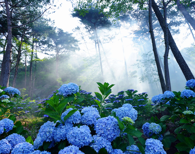 해남 가볼만한곳 베스트10