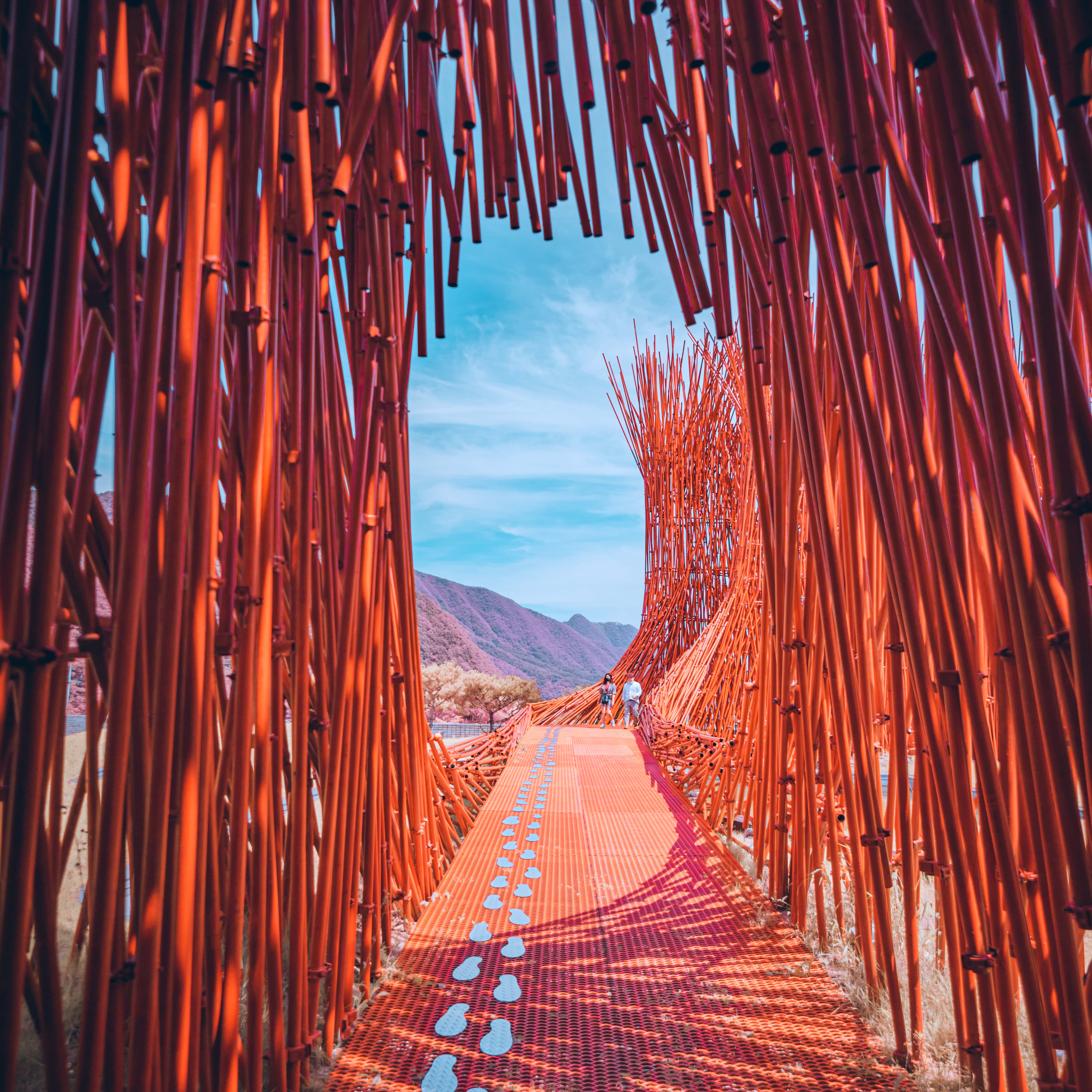 영월 젊은달와이파크