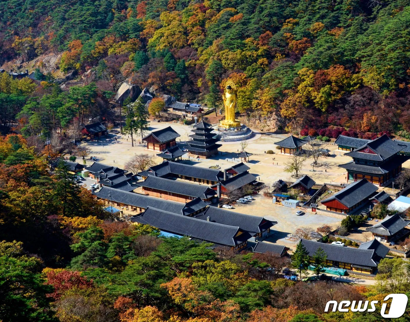 보은 가볼만한곳 베스트10