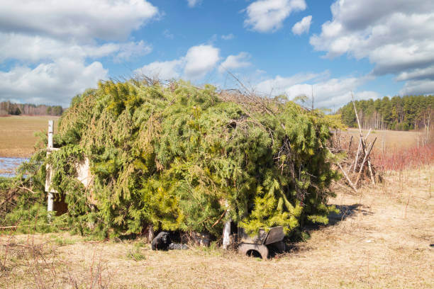 산불 후, 자연 피난처 안전 점검 방법