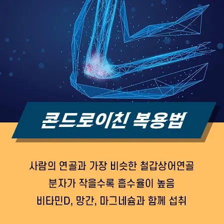 콘드로이친 부작용