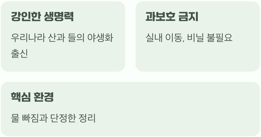 알고 보면 튼튼한 야생초