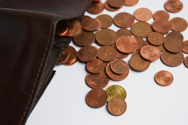 자동차 담보대출 조건 6