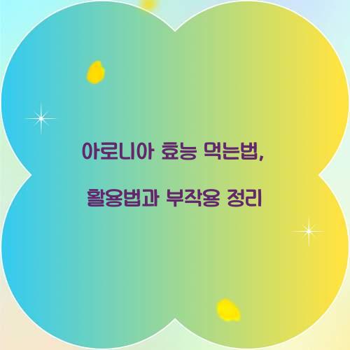 아로니아 효능 먹는법