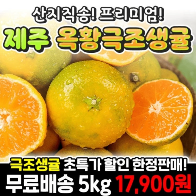 10월 4일 제주 옥황극조생귤 캐시워크 정답 고당도 새콤달콤 제주 옥황 극조생귤 5kg ㅊㅅ