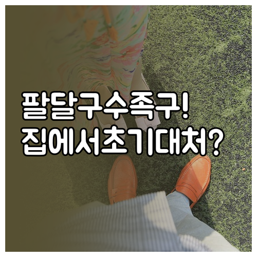 수원 팔달구 수족구 병원 추천 및 집..