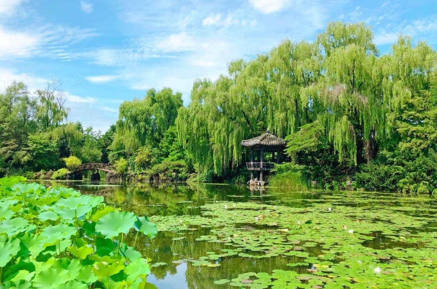 벽초지수목원 여름