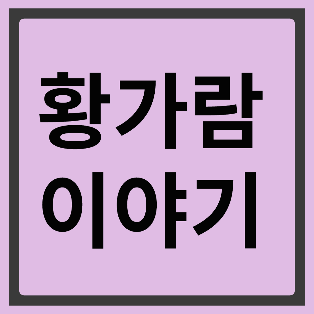 황가람이야기