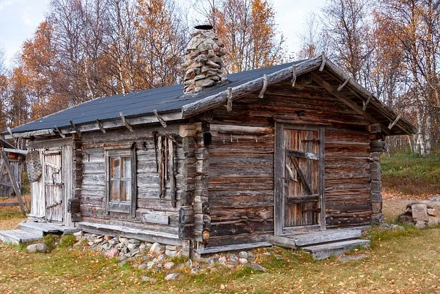 펫시터자격 교육과정 활동영역 창업준비 시니어 돌봄 일거리 찾기_1