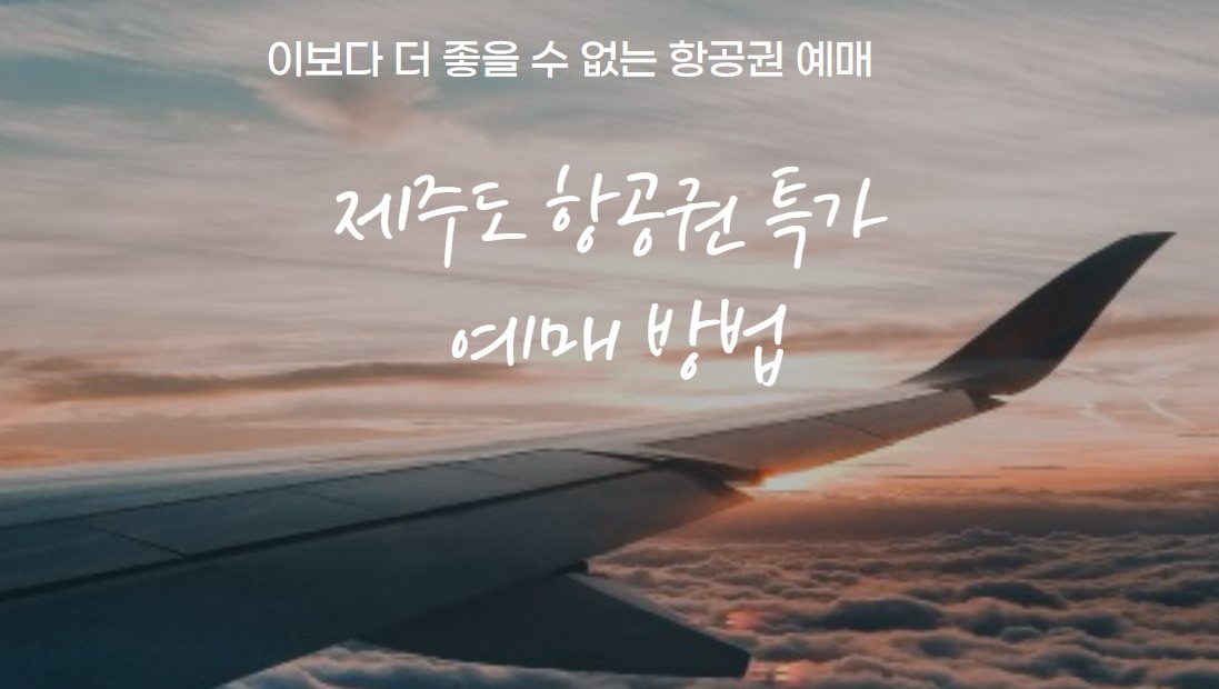 제주도 항공권