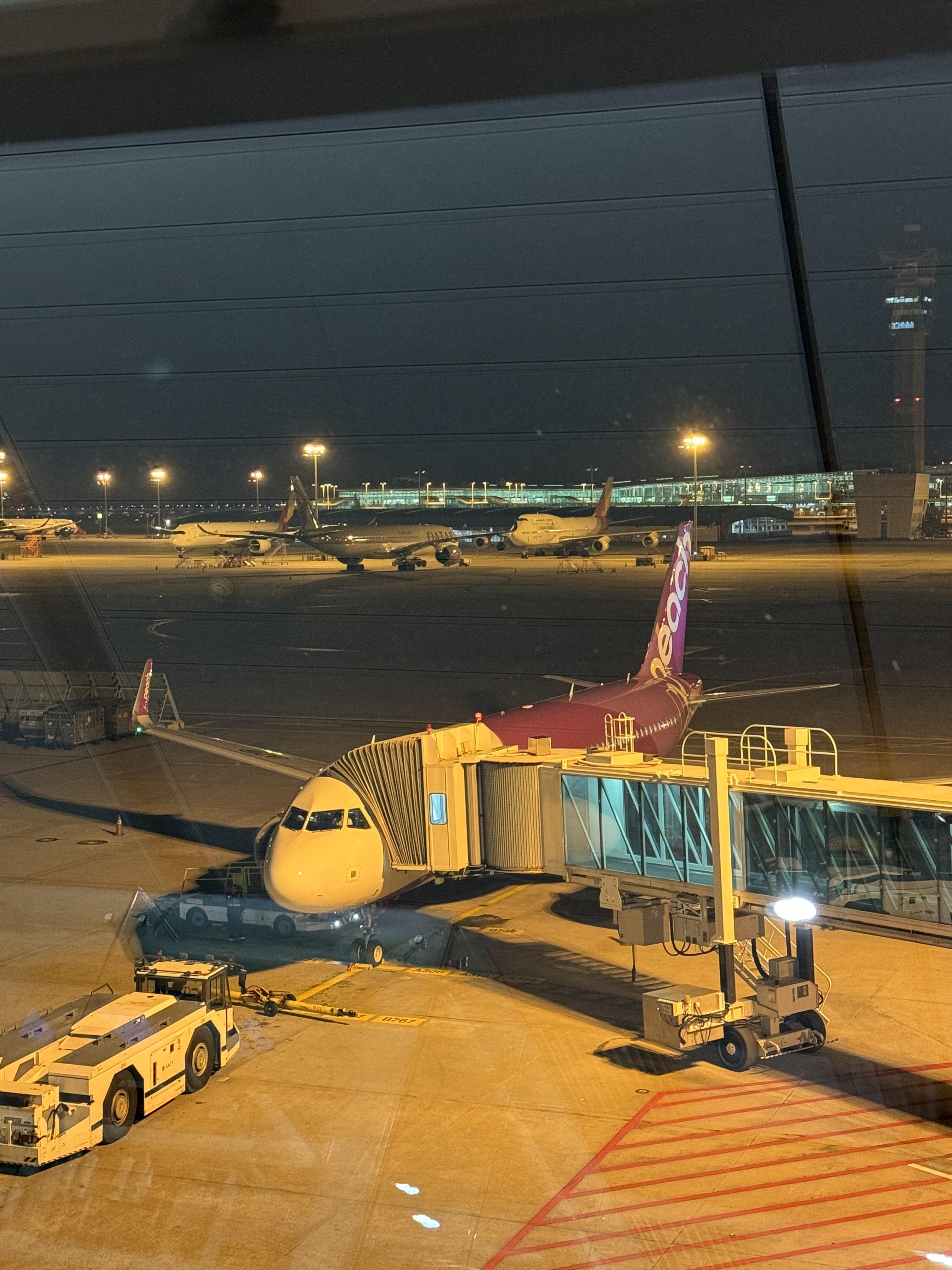 피치항공 비행기