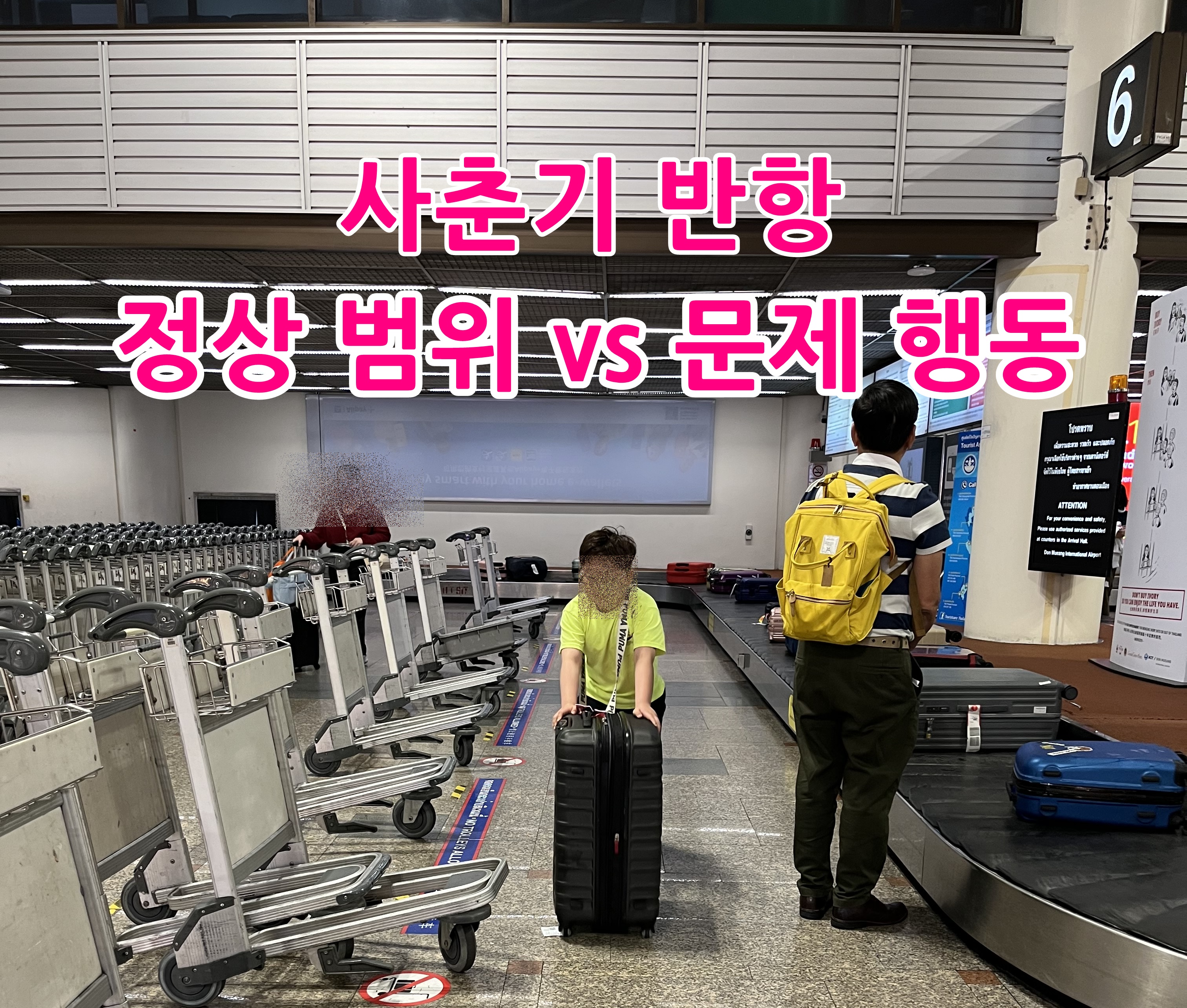 사춘기 반항, 정상 범위 vs 문제 행동