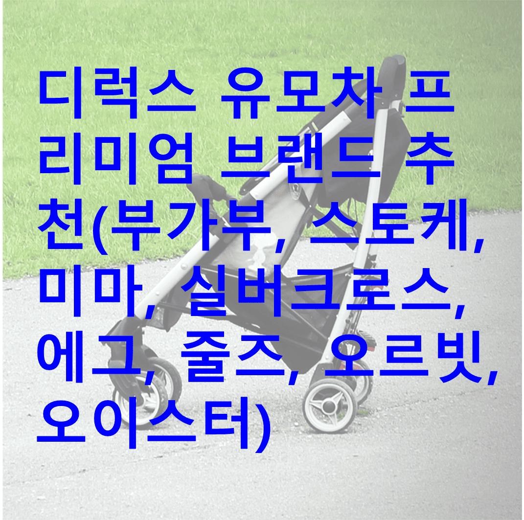 유모차_배경_디럭스 유모차_브랜드_포스팅_내용_요약_디럭스_유모차_프리미엄_브랜드_추천(부가부,_스토케,_미마,_실버크로스,_에그,_줄즈,_오르빗,_오이스터)