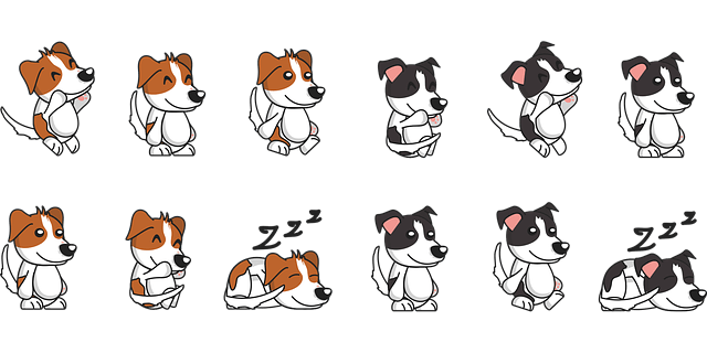 키성장보조식품