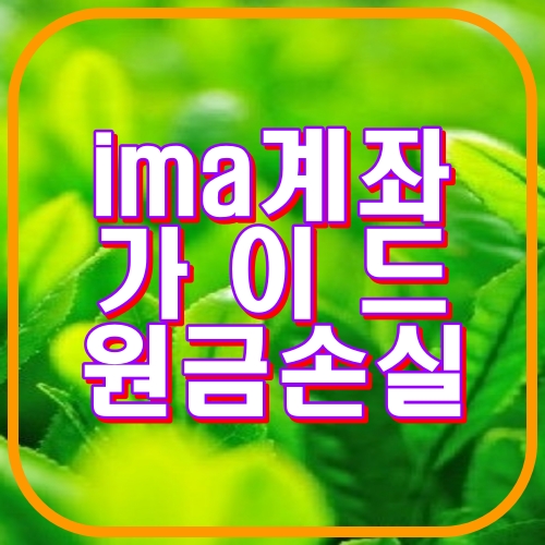 ima계좌가이드 원금손실
