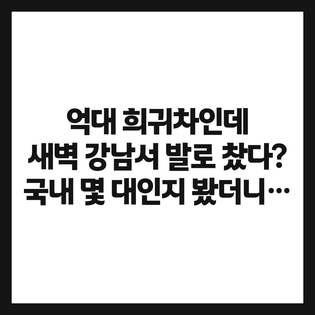 국내 몇 대뿐이라던 사이버트럭, 새벽 강남서 결국 발로 차였다