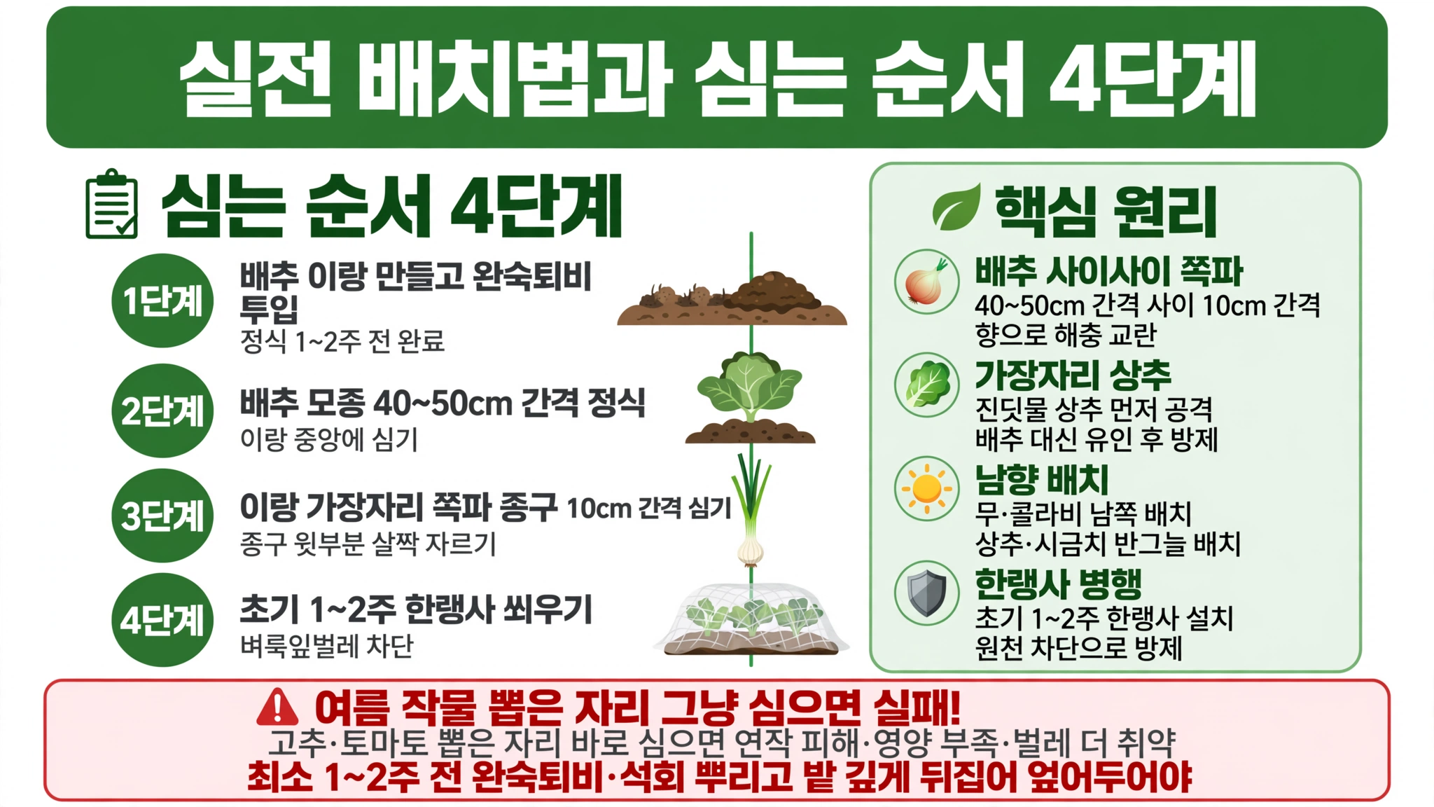 가을 배추 모종 심기 실전 배치법 4단계 1단계 이랑 완숙퇴비 1 2주 전 2단계 배추 40 50cm 간격 중앙 정식 3단계 가장자리 쪽파 종구 10cm 4단계 한랭사 씌우기 벼룩잎벌레 차단 상추 유인 남향 배치