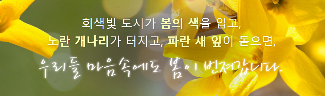 개나리 진달래 봄의 시작