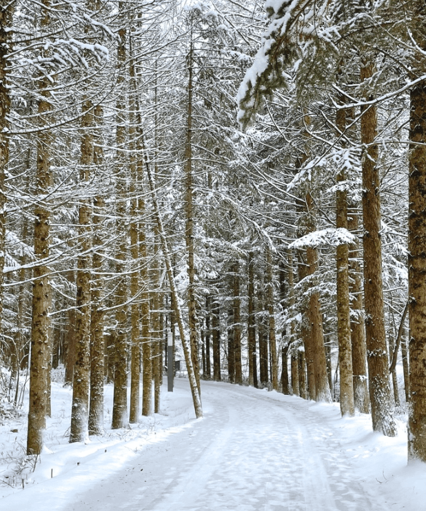 국내 겨울여행지 추천