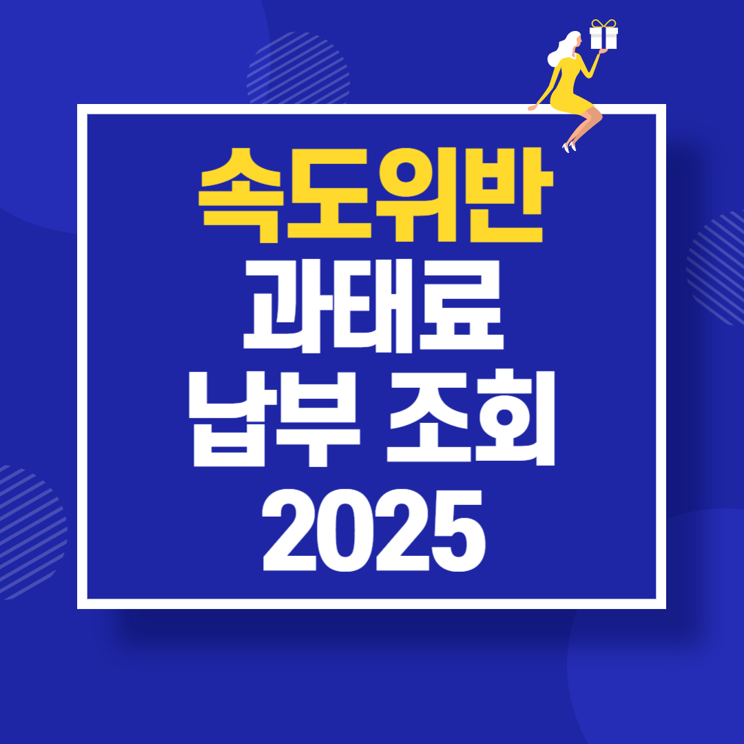 속도위반 과태료 조회·납부 2025 총정리