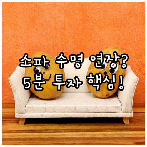 우리 집 코너 소파 일주일 5분 투자..