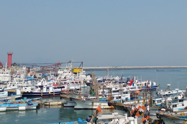보령 가볼만한곳 베스트10 대천항