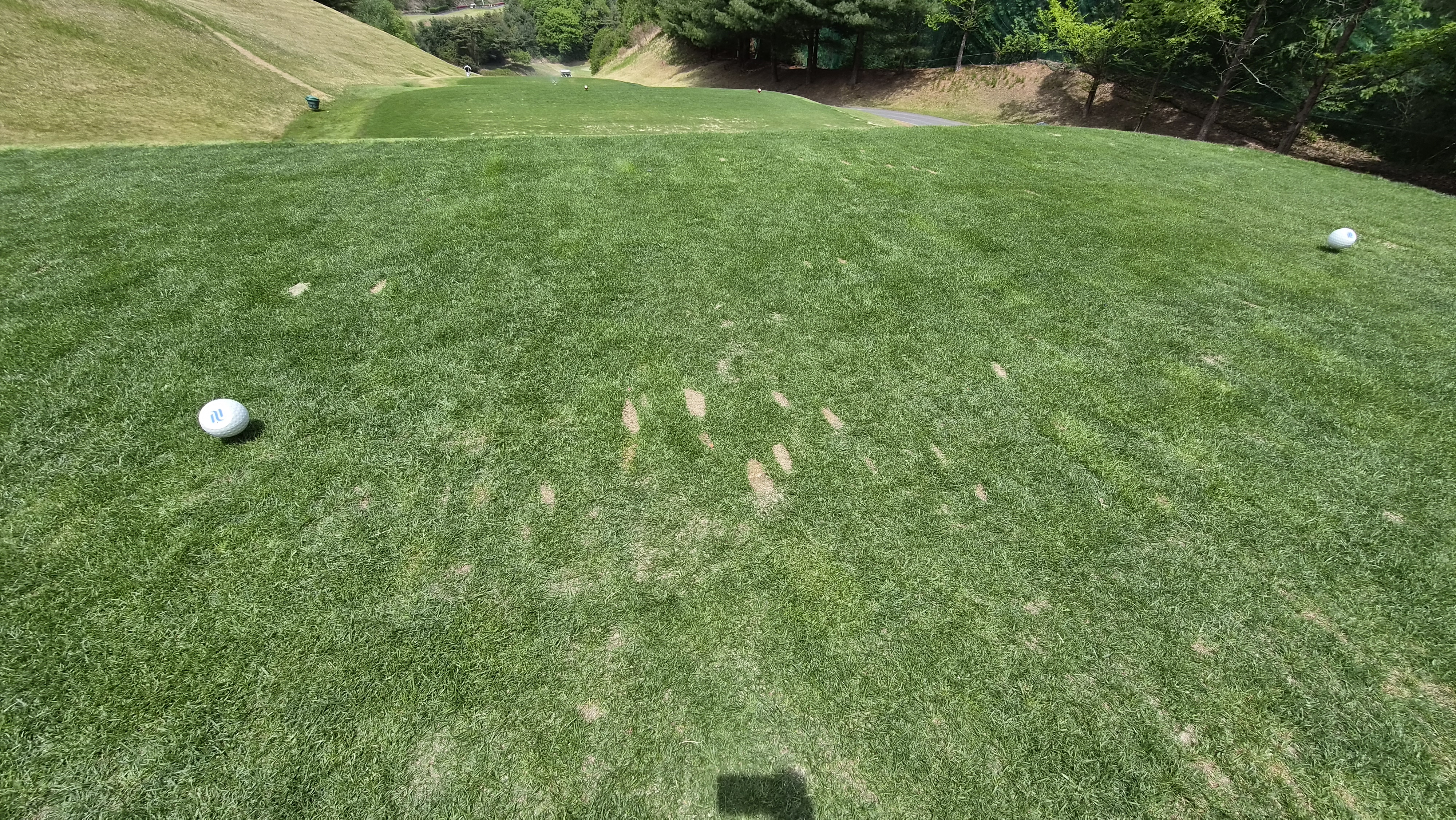 포웰cc 프린세스 라운드 후기