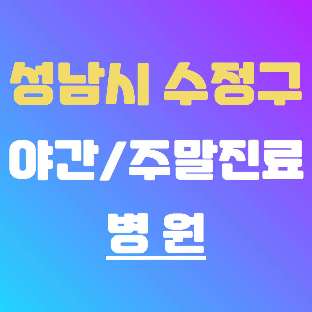 성남시 수정구 야간 주말 진료 병원