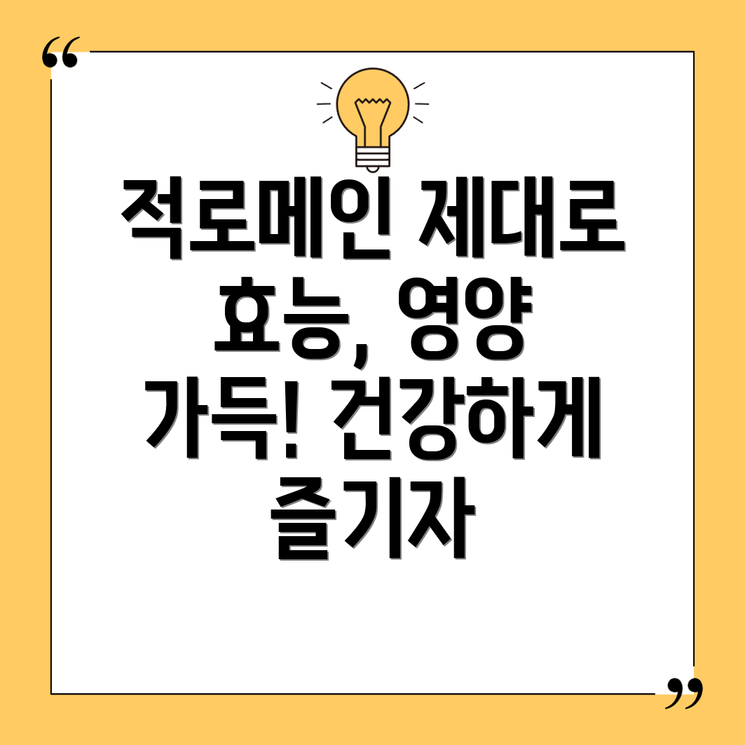 적로메인