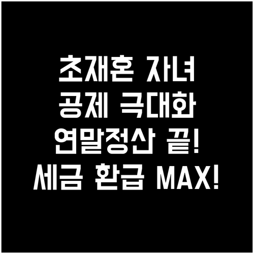 초혼 재혼 자녀 출산 연말정산 공제 ..