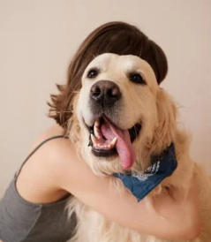 강아지 건강을 위한 매일 10분 생활 습관