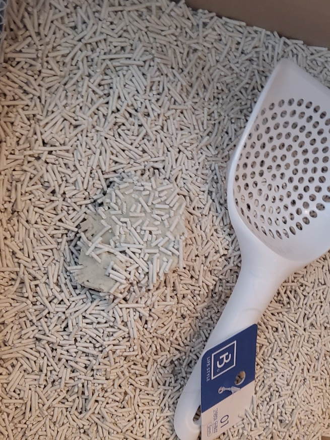 고양이 화장실 모래