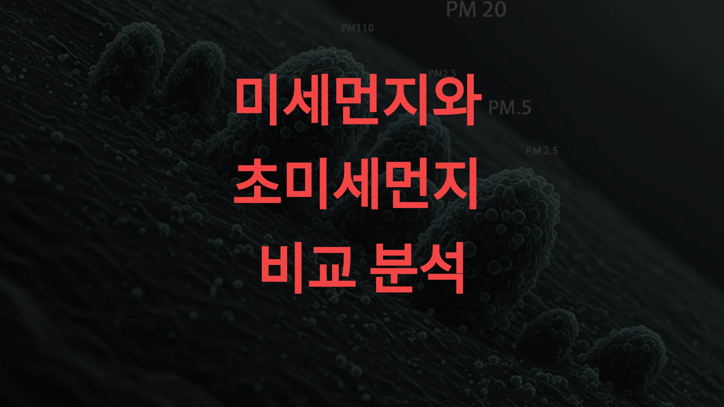 미세먼지와 초미세먼지 차이 완벽 분석! 건강에 더 해로운 것은