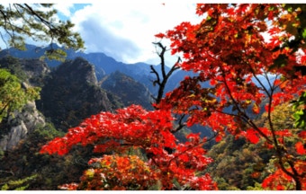 강원도 설악산 단풍