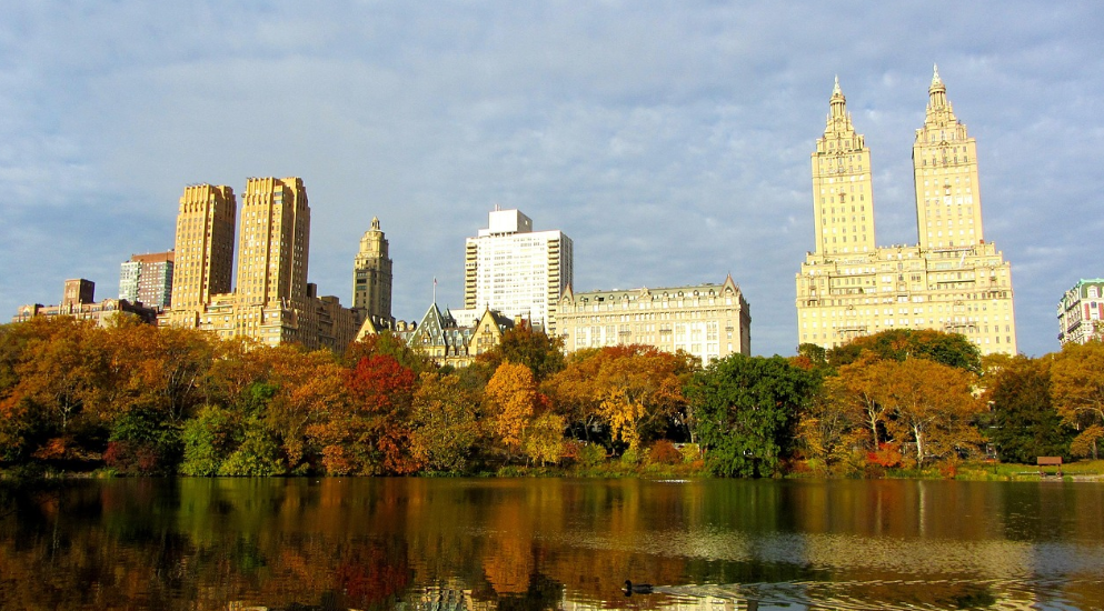 뉴욕 가을 거리 미식 여행 – 핫도그부터 루프탑 브런치까지 정복기