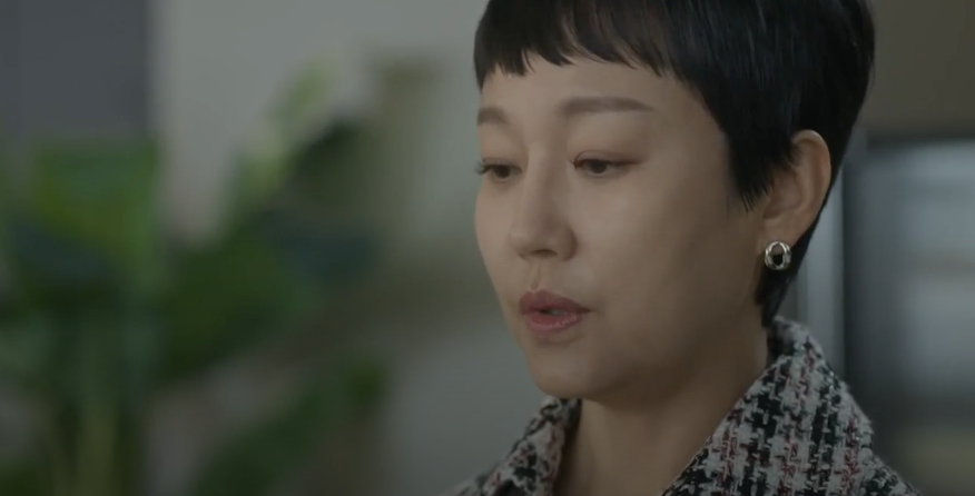 마이유스 내용