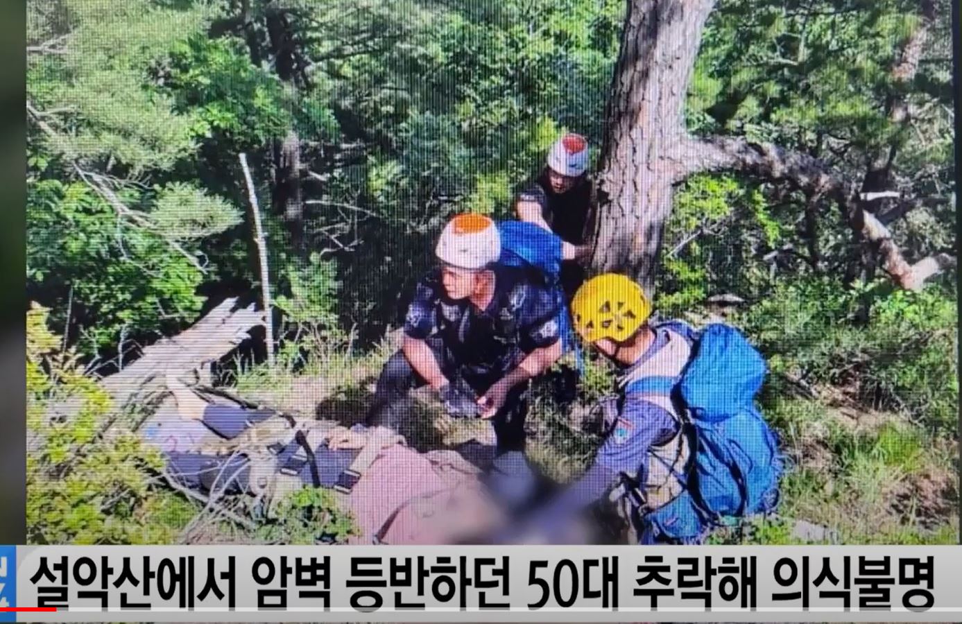 장군봉 암벽등반 중 50대 여성 추락해 의식 불명